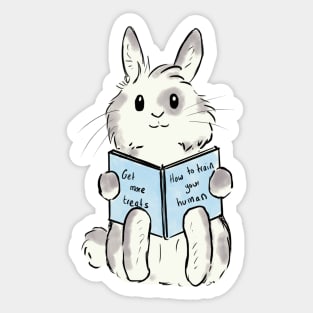 How to train your human bunny Sticker